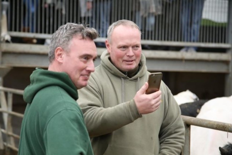 Other image for TV cameras spring into Cannon Hall Farm for new series